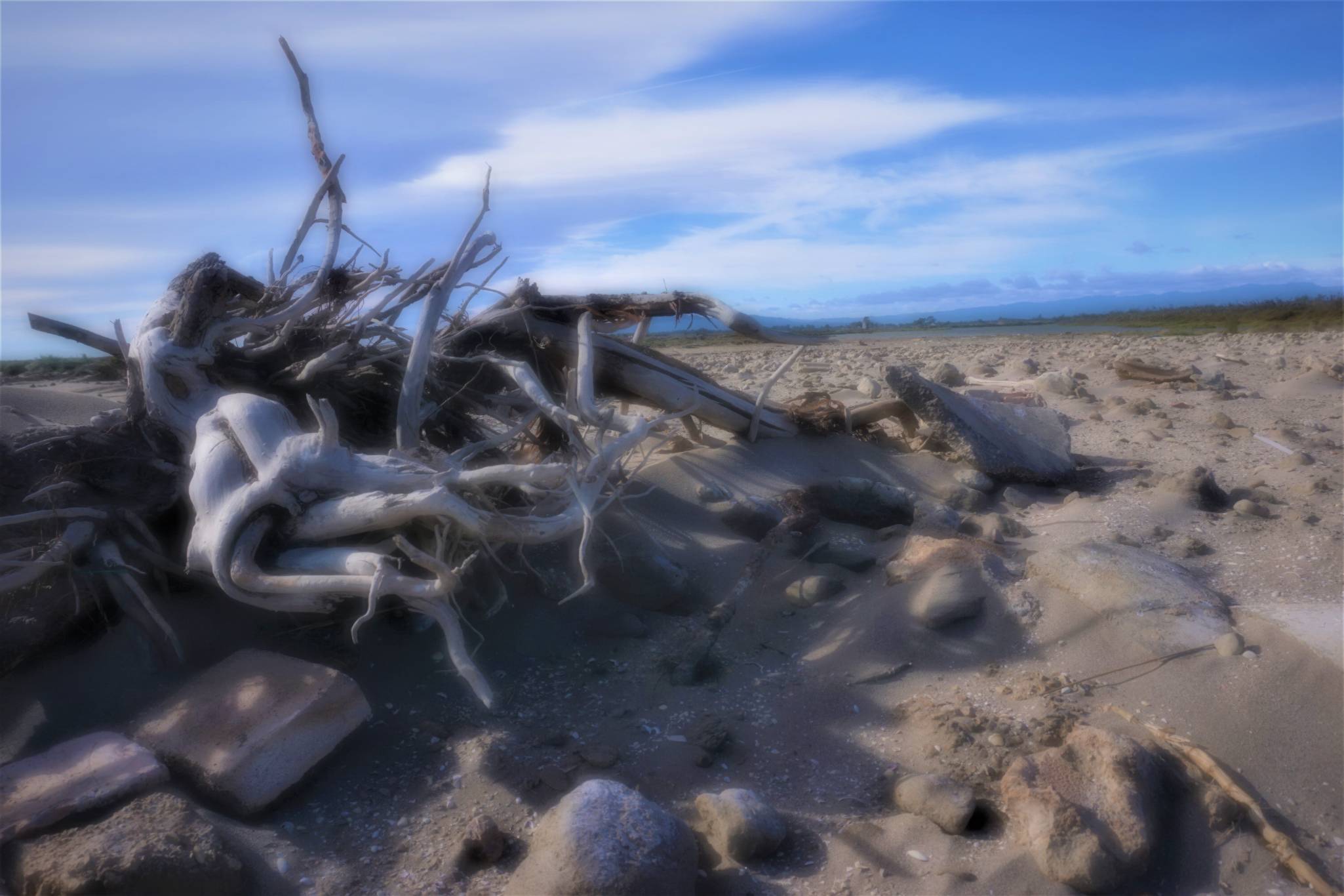 Desierto en la Playa detall